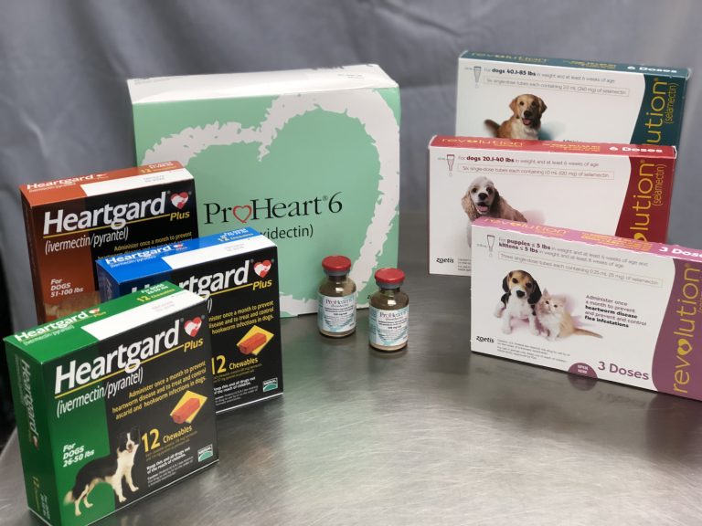 Dog Flea And Heartworm Medication