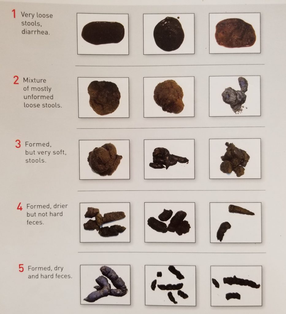 Why Does My Dog S Poop Dry Black at Virginia Mucci blog